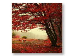 Pittura murale TREES Sconto 60 % 50X50 cm