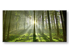 Pittura murale PANORAMA TREES Sconto 60% 50X100 cm