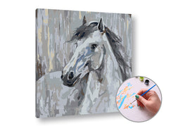 Pittura per numeri PICCIONE BIANCO | difficoltà bassa