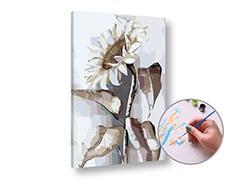 Pittura per numeri - GIRASOLE BIANCO - Difficoltà bassa