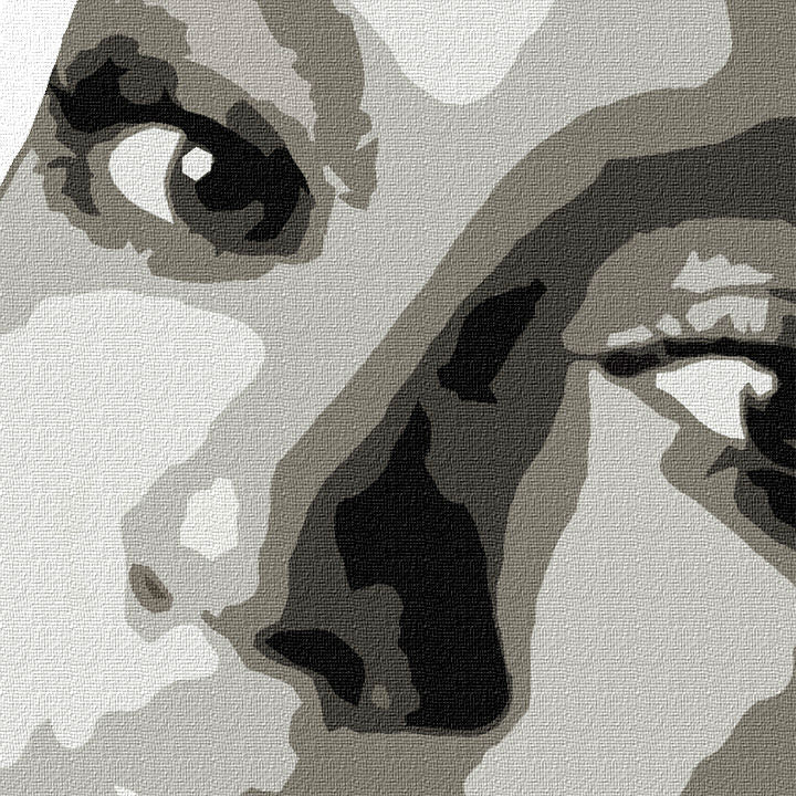 Dipinto a mano POP ART BEYONCÉ - immagine 3