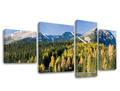 Il quadro su tela 4 parti SLOVACCHIA
