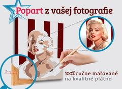 Immagine POP Art dipinta da una fotografia - OBDŽNIK FOTO-POPO | dimensioni diverse - immagine 2