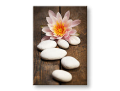 L'immagine su tela FENG SHUI_059-11