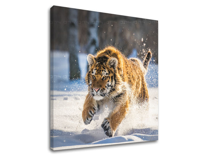 Pittura murale ANIMALS_048-12 - immagine 3