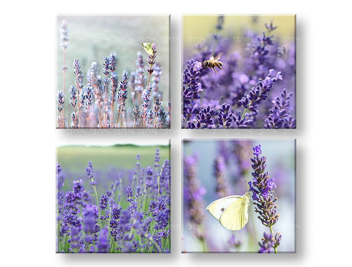 Dipinto murale Sogno di lavanda | varie dimensioni