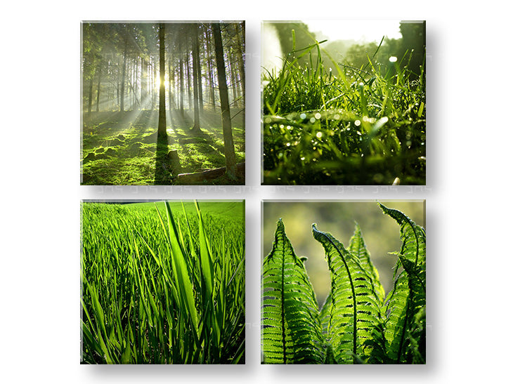 Dipinto murale Alba della Natura | varie dimensioni