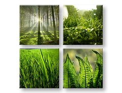 Dipinto murale Alba della Natura | varie dimensioni