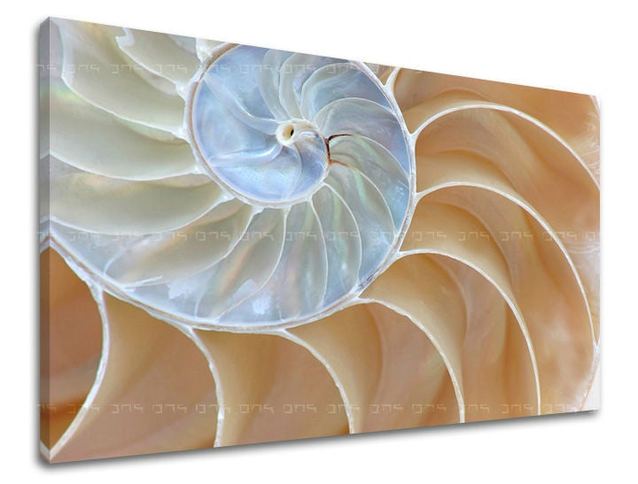 Pittura murale ABSTRAKT