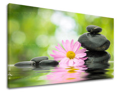 Pittura murale FENG SHUI | varie dimensioni