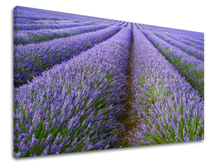 Pittura murale LANDSCAPE