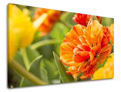 Dipinto murale FIORI | varie dimensioni