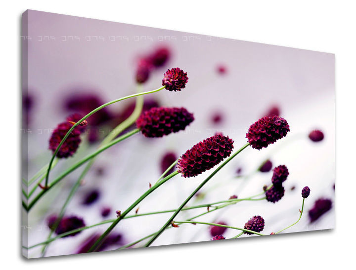 Dipinto murale FIORI | varie dimensioni