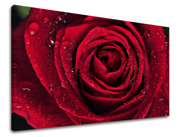 Dipinto murale FIORI | varie dimensioni