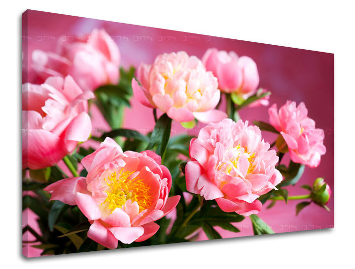 Dipinto murale FIORI | varie dimensioni