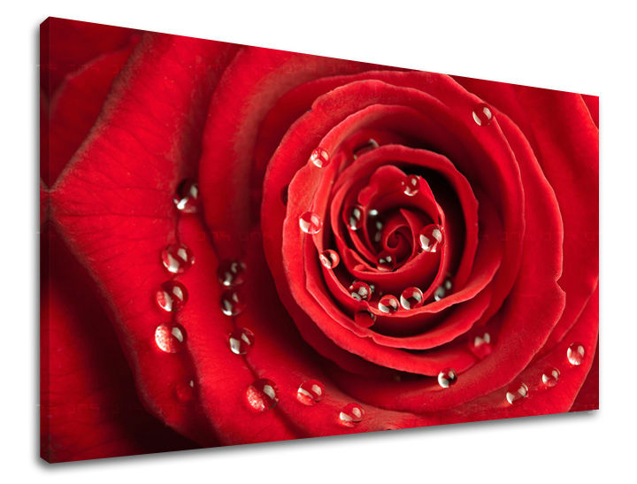 Dipinto murale FIORI | varie dimensioni