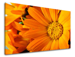 Dipinto murale FIORI | varie dimensioni