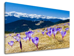 Dipinto murale FIORI | varie dimensioni