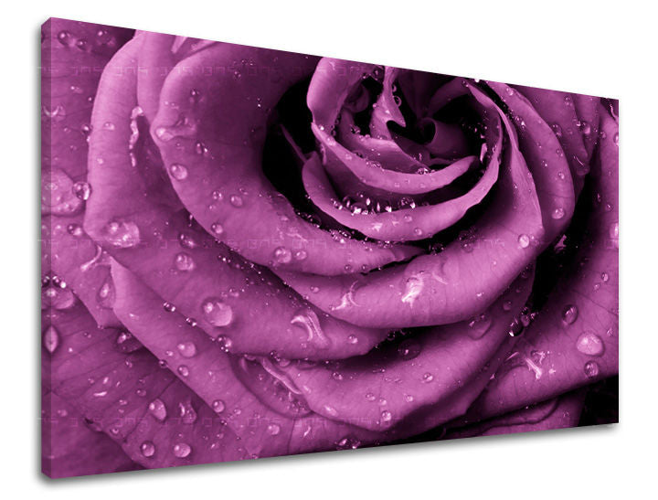 Dipinto murale FIORI | varie dimensioni