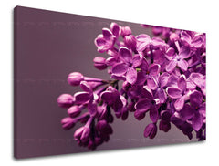 Dipinto murale FIORI | varie dimensioni