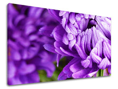 Dipinto murale FIORI | varie dimensioni