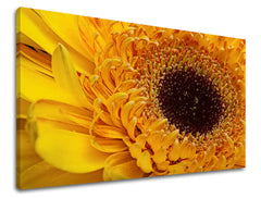 Dipinto murale FIORI | varie dimensioni