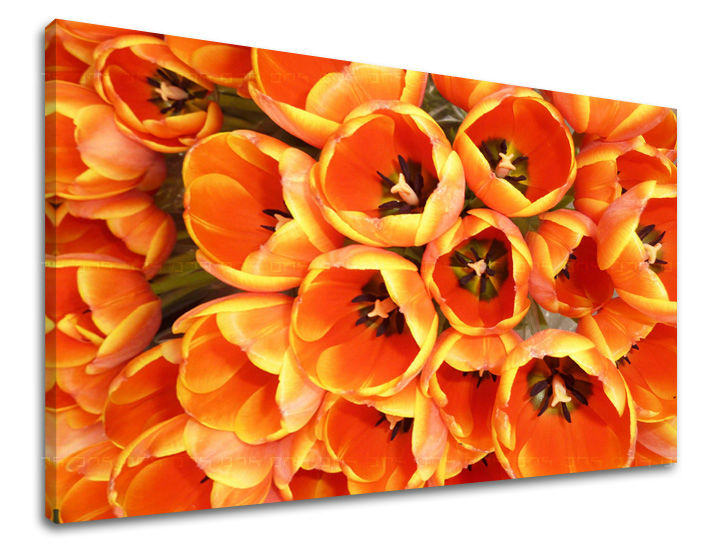 Dipinto murale FIORI | varie dimensioni