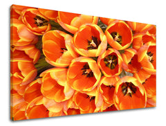 Dipinto murale FIORI | varie dimensioni