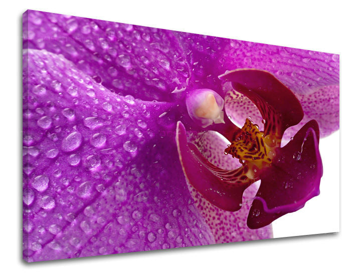 Dipinto murale FIORI | varie dimensioni