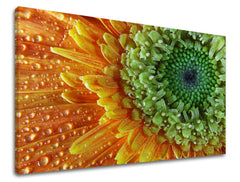 Dipinto murale FIORI | varie dimensioni