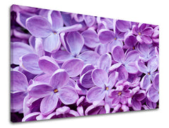 Dipinto murale FIORI | varie dimensioni