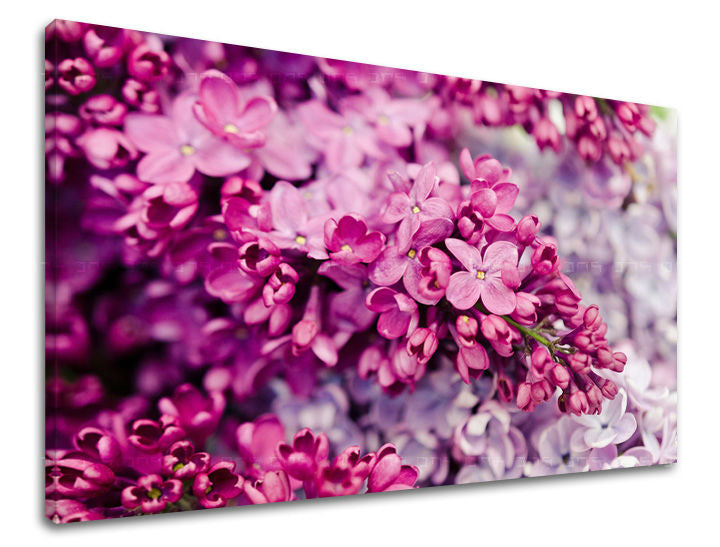 Dipinto murale FIORI | varie dimensioni