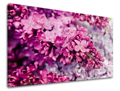 Dipinto murale FIORI | varie dimensioni