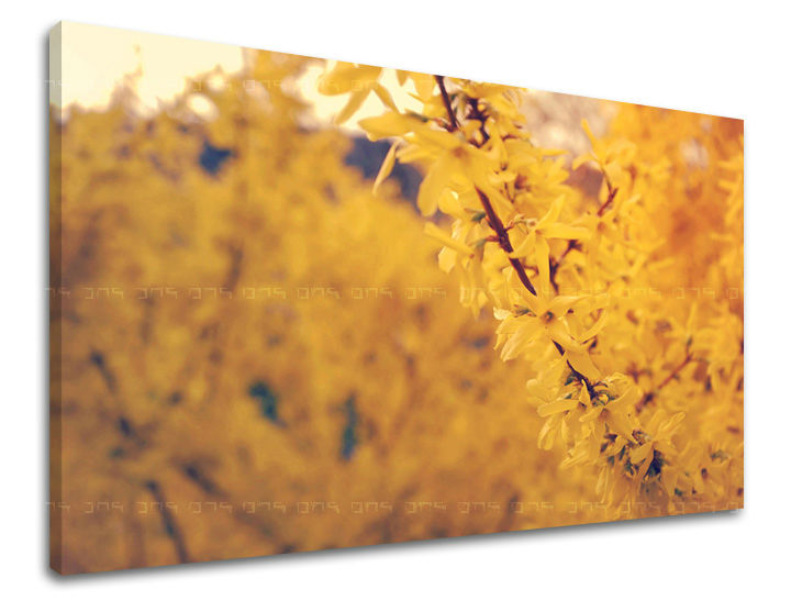 Dipinto murale FIORI | varie dimensioni