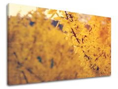 Dipinto murale FIORI | varie dimensioni