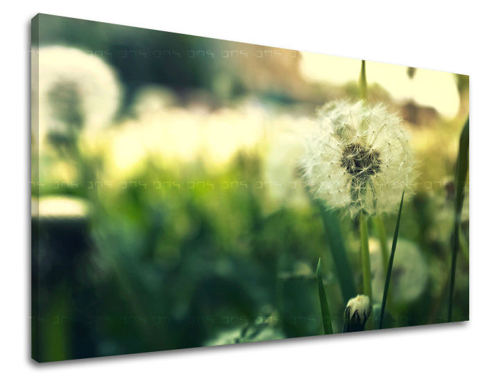 Dipinto murale FIORI | varie dimensioni
