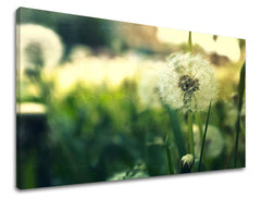 Dipinto murale FIORI | varie dimensioni