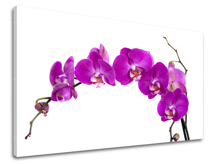 Dipinto murale FIORI | varie dimensioni