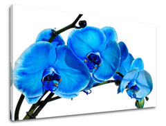 Dipinto murale FIORI | varie dimensioni