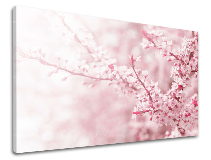 Dipinto murale FIORI | varie dimensioni