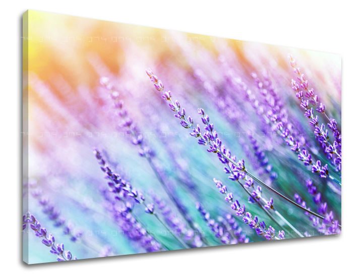 Dipinto murale FIORI | varie dimensioni