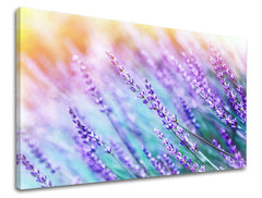 Dipinto murale FIORI | varie dimensioni