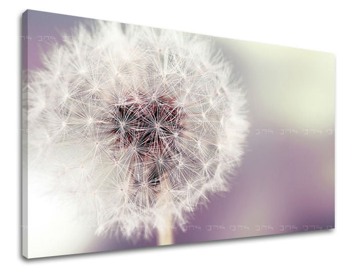 Dipinto murale FIORI | varie dimensioni