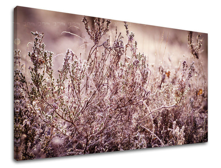 Dipinto murale FIORI | varie dimensioni
