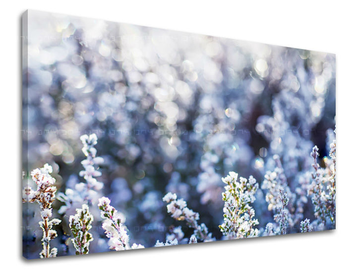 Dipinto murale FIORI | varie dimensioni