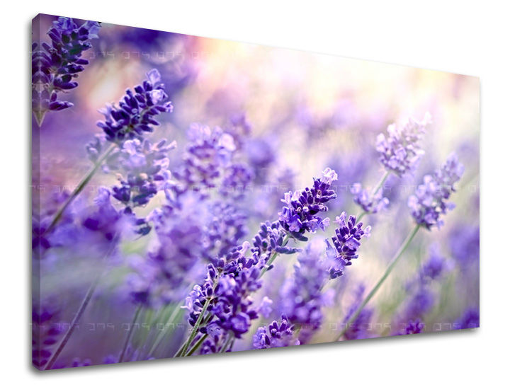 Dipinto murale FIORI | varie dimensioni
