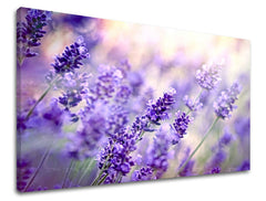 Dipinto murale FIORI | varie dimensioni