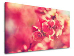Dipinto murale FIORI | varie dimensioni