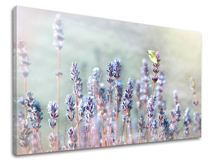 Dipinto murale FIORI | varie dimensioni