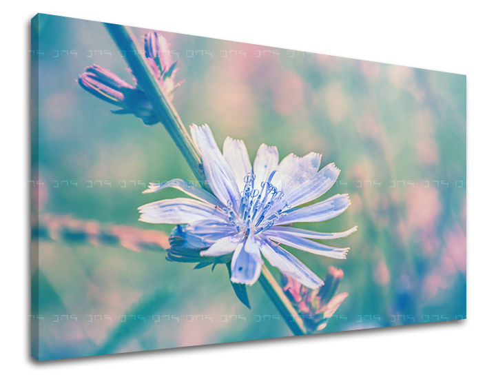 Dipinto murale FIORI | varie dimensioni